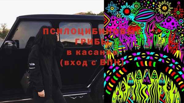 apvp Арсеньев