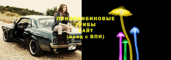 сатива Аркадак