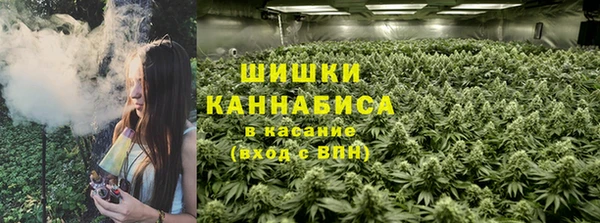 сатива Аркадак