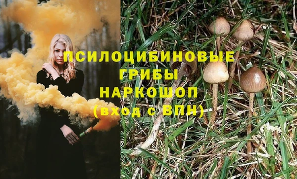 не бодяженный Армянск