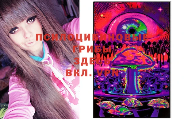 сатива Аркадак