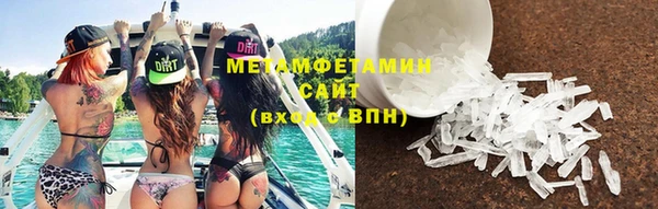 сатива Аркадак