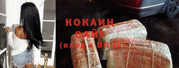 сатива Аркадак